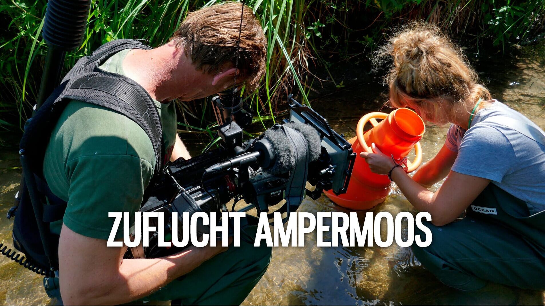 Zuflucht Ampermoos
