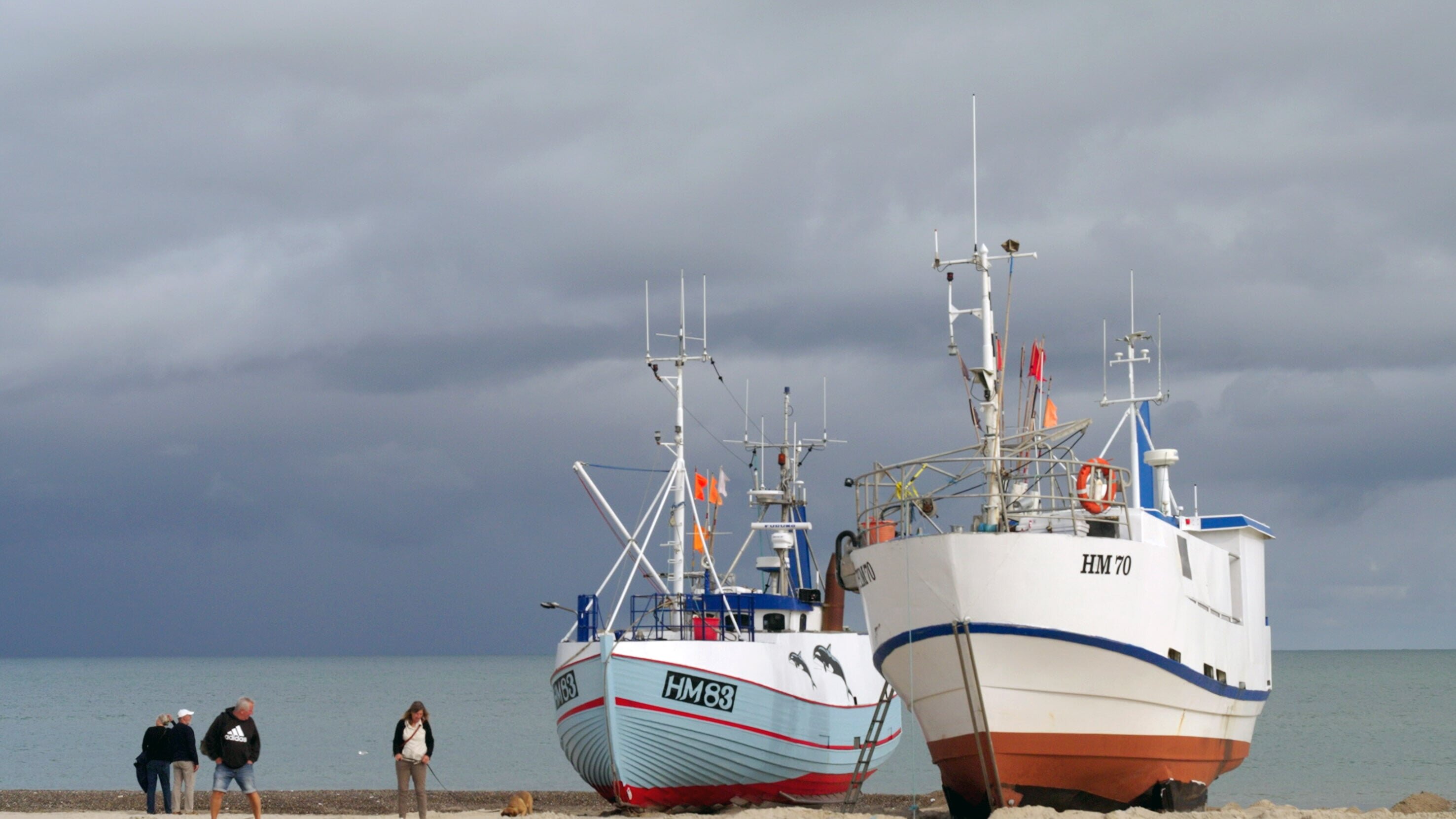 Leben an der Nordsee