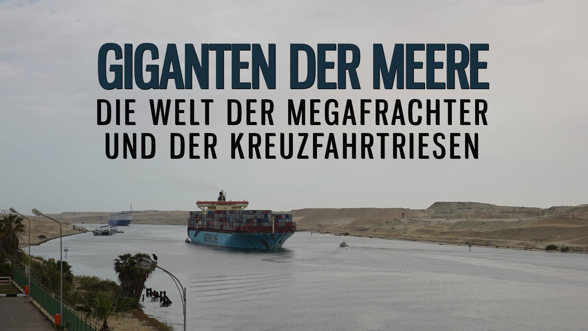 Giganten der Meere