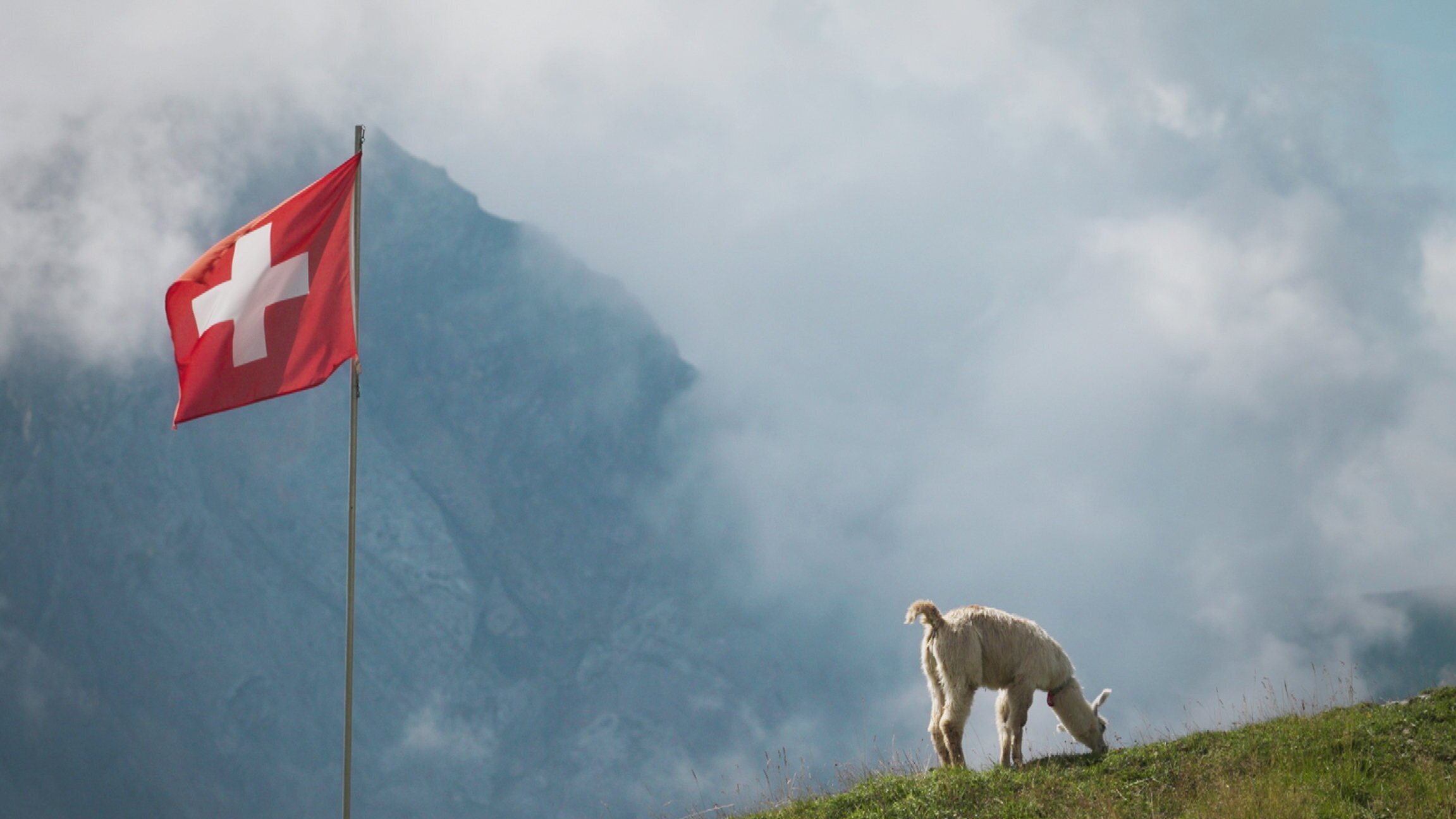 Das Berner Oberland