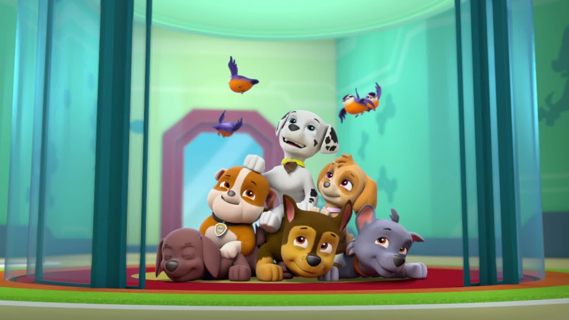 PAW Patrol – Helfer auf vier Pfoten