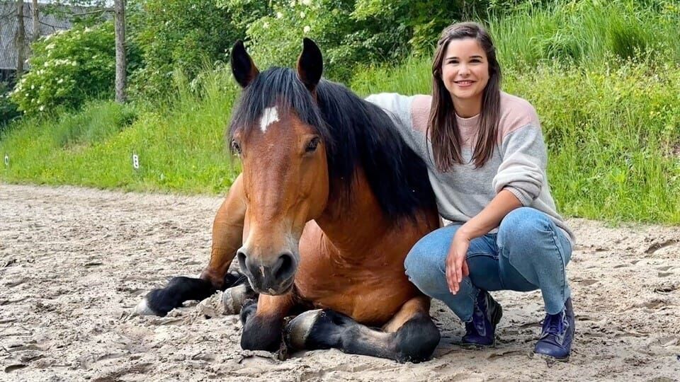 Anna und die Haustiere