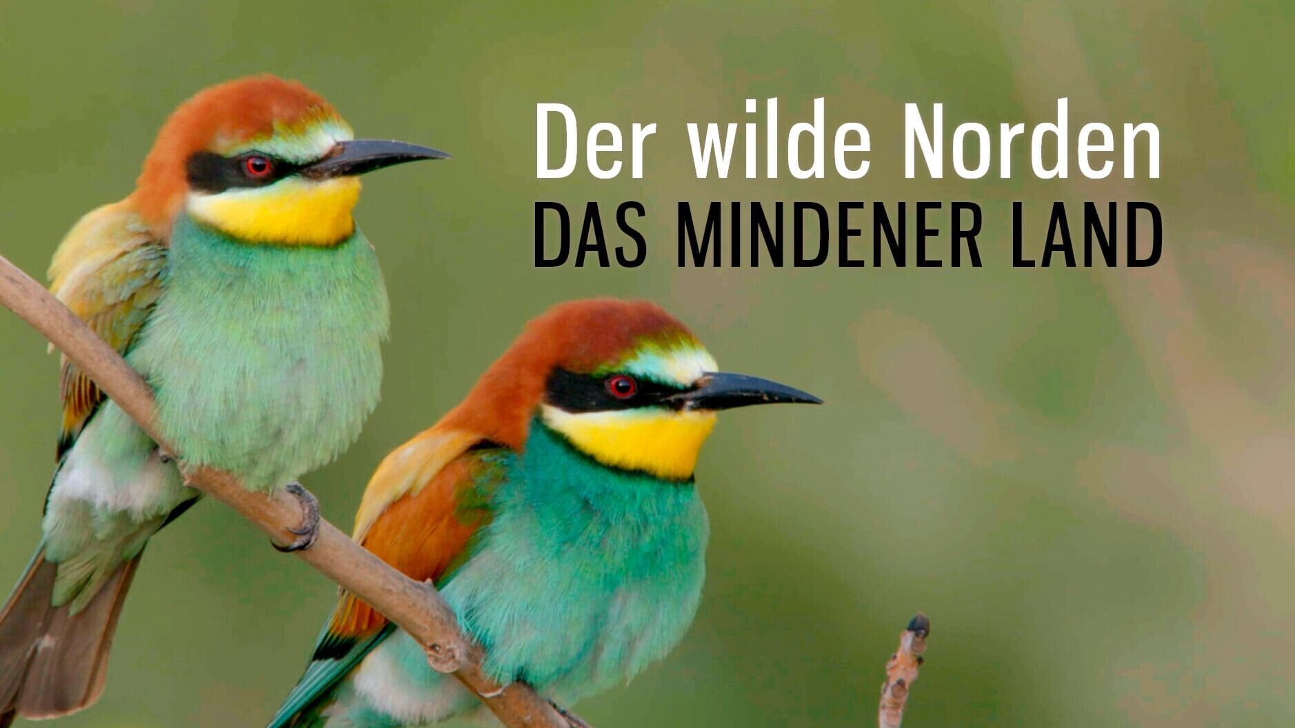 Der wilde Norden – Das Mindener Land