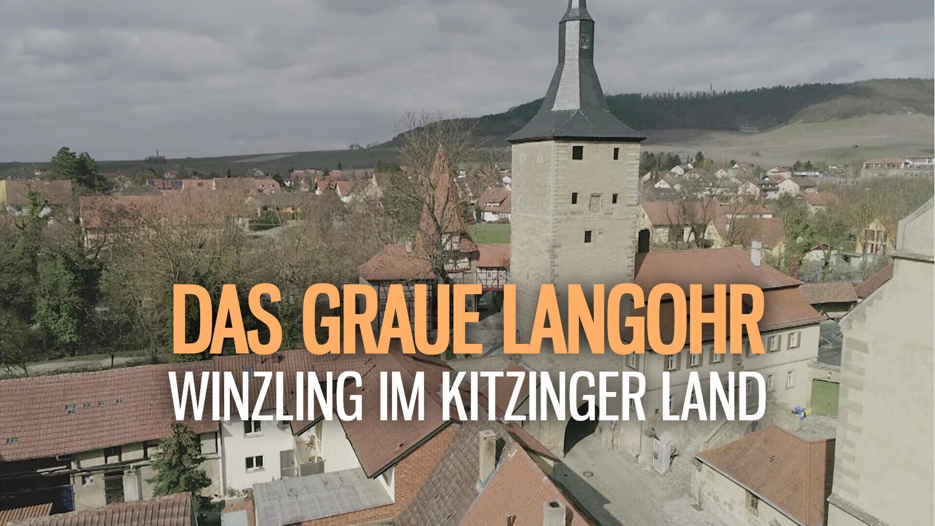 Das Graue Langohr – Winzling im Kitzinger Land