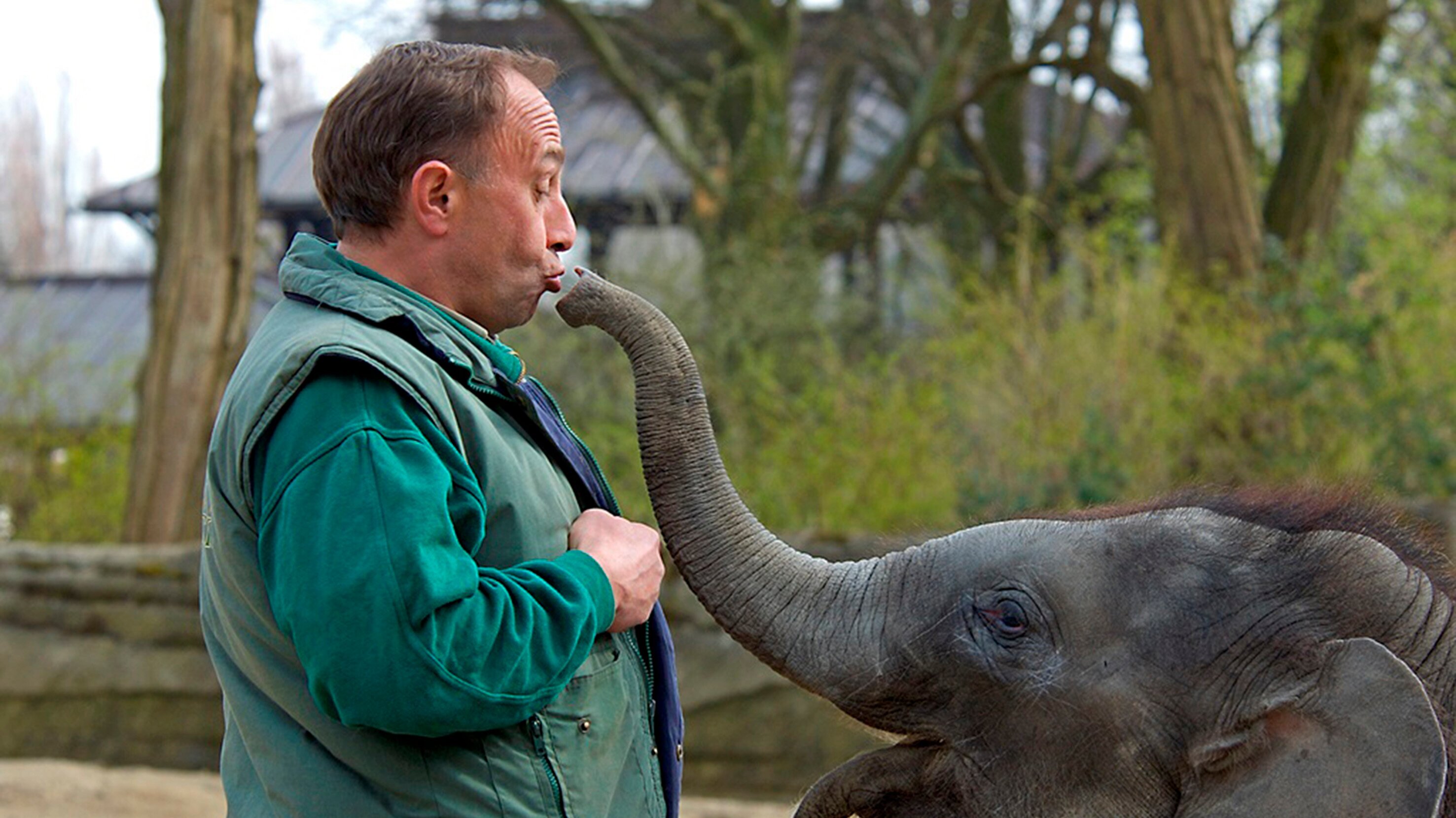 Wie geht das? Einen Zoo organisieren – Hagenbecks Tierpark