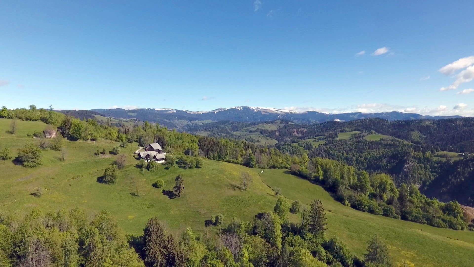 Steirischer Almsommer in der Lipizzanerheimat