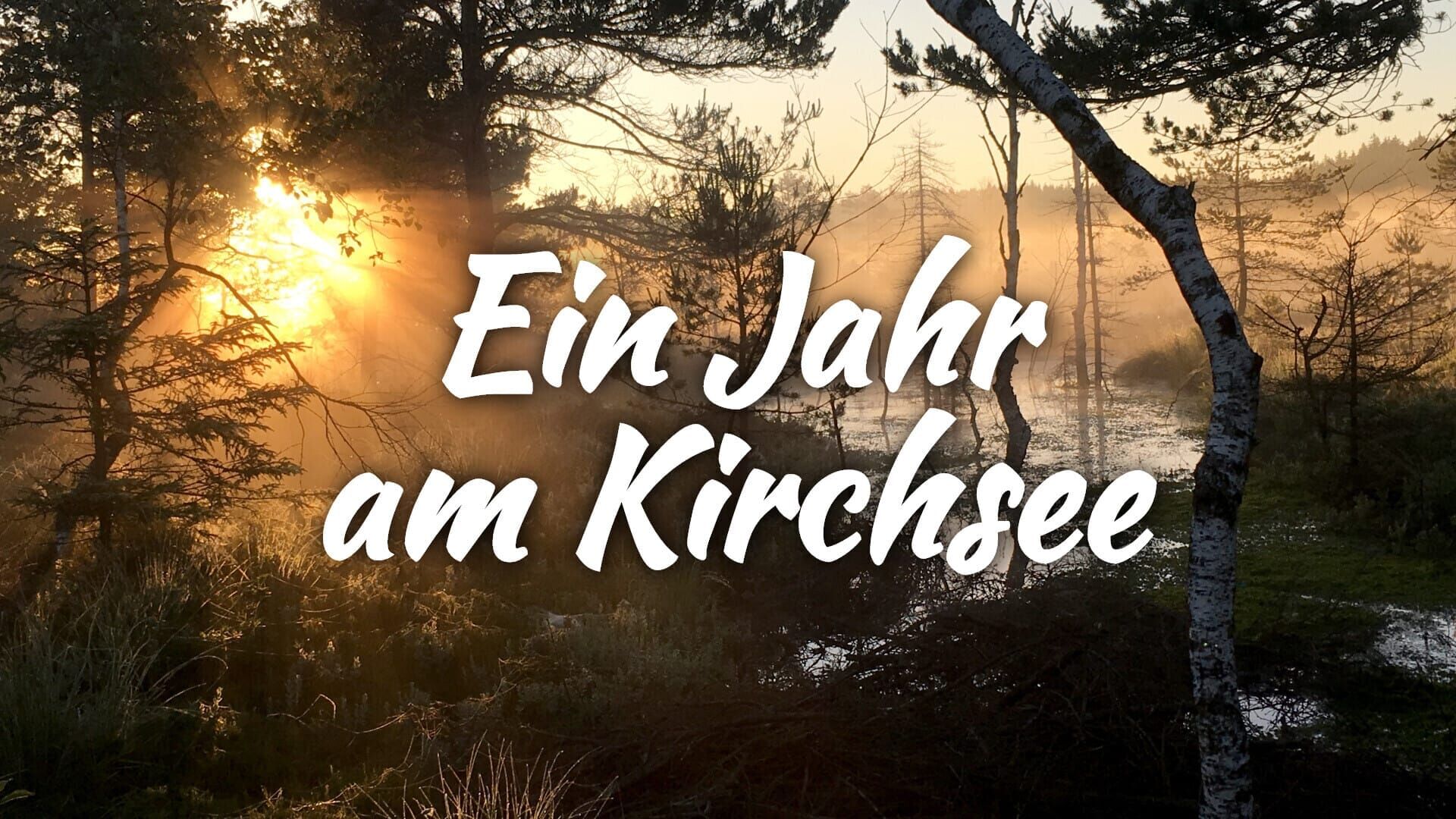 Ein Jahr am Kirchsee