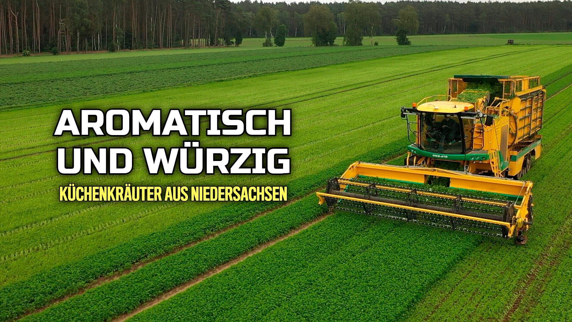 Aromatisch und würzig
