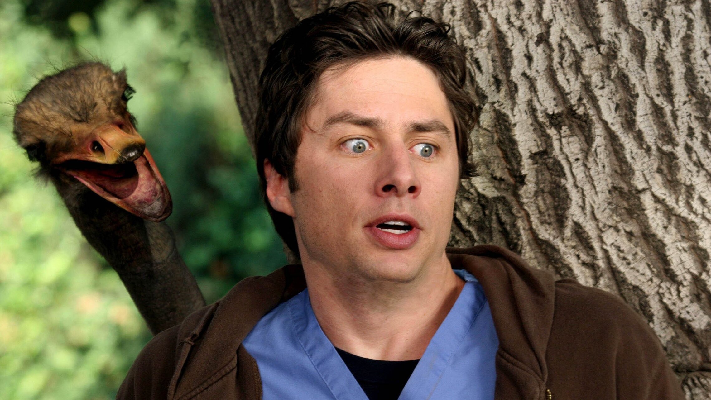 Scrubs – Die Anfänger