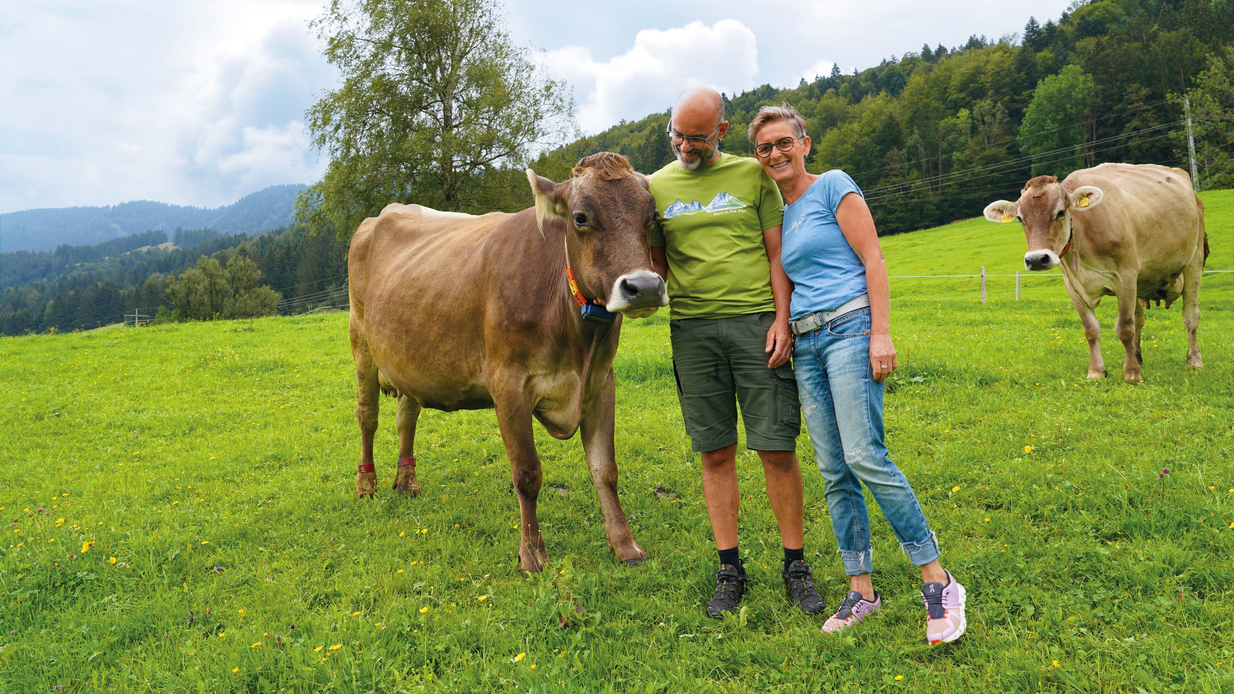 Lust aufs Land – Bayerische Hofgeschichten