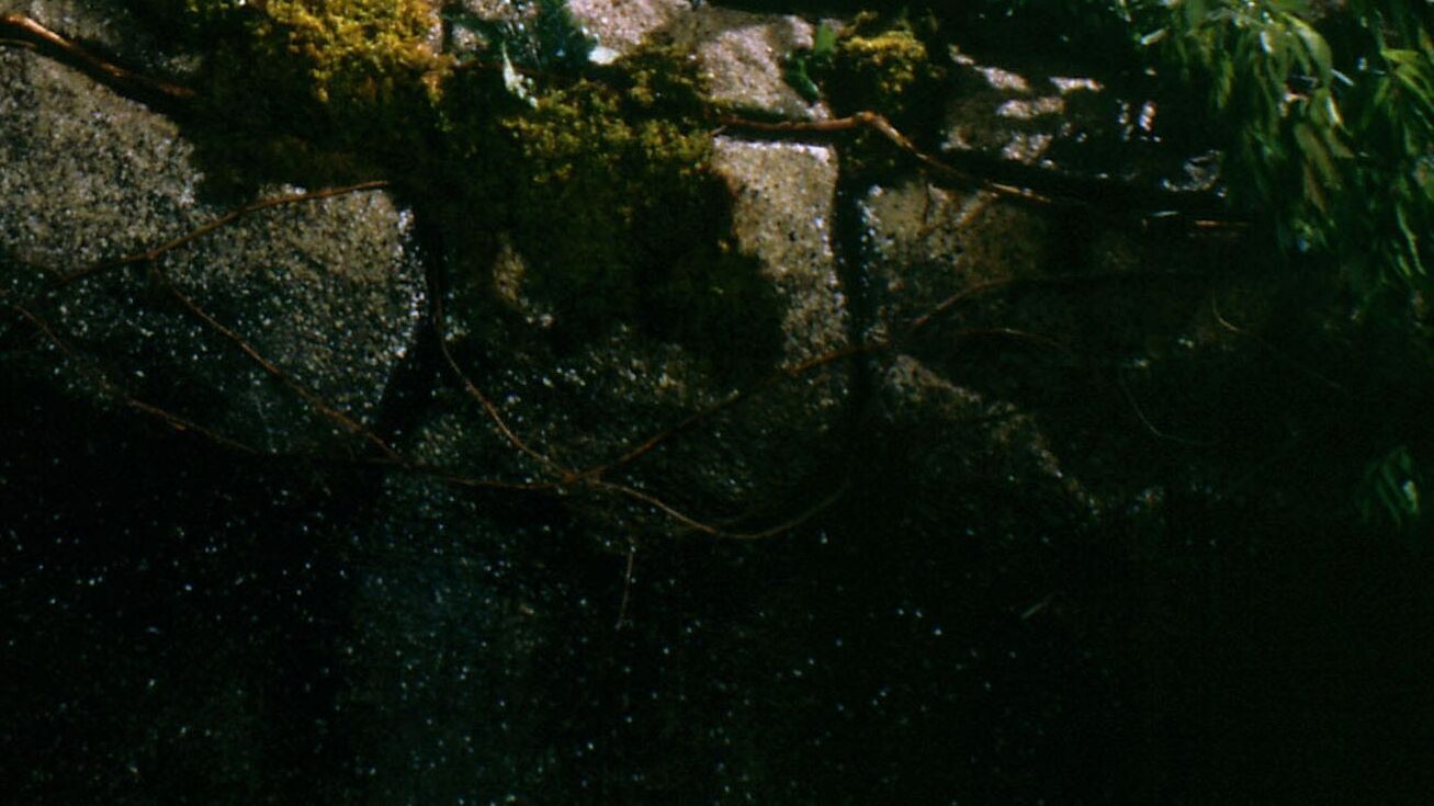 Relic Hunter – Die Schatzjägerin