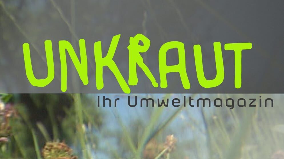 Food statt Junk – Drei für gesünderes Essen