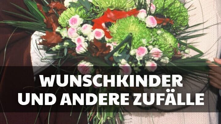 Wunschkinder und andere Zufälle