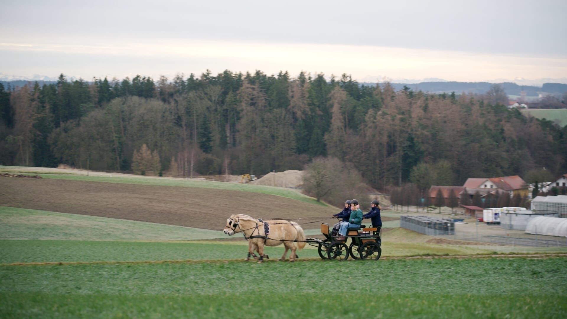 Nina und die Haustiere