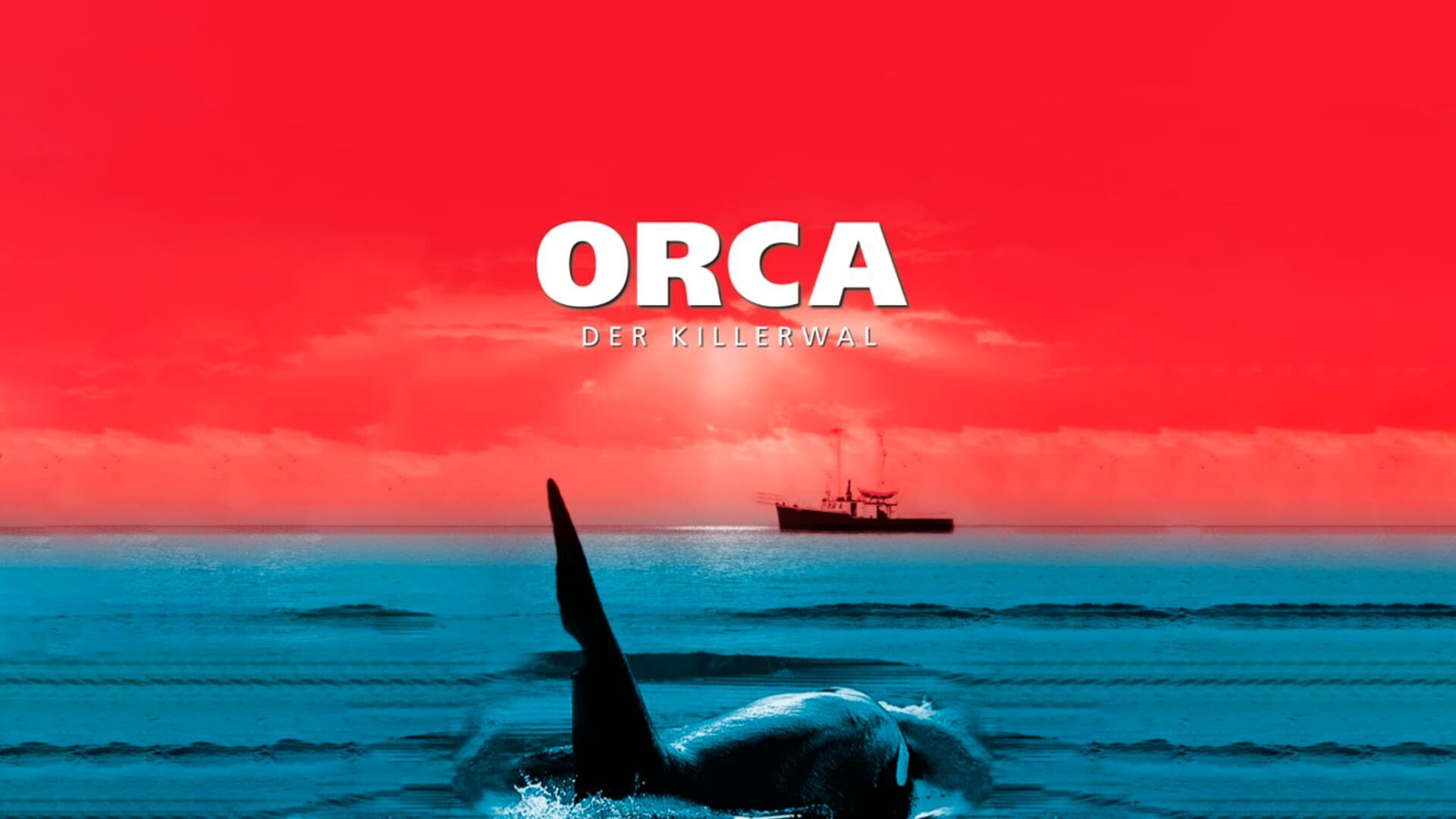 Orca, der Killerwal