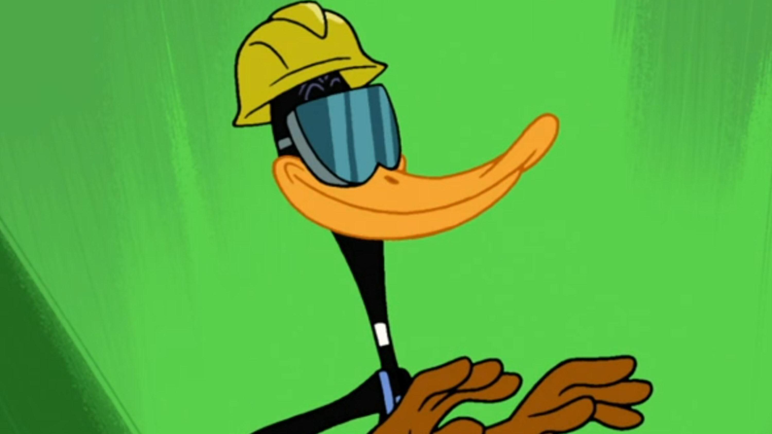 Die neue Looney Tunes Show