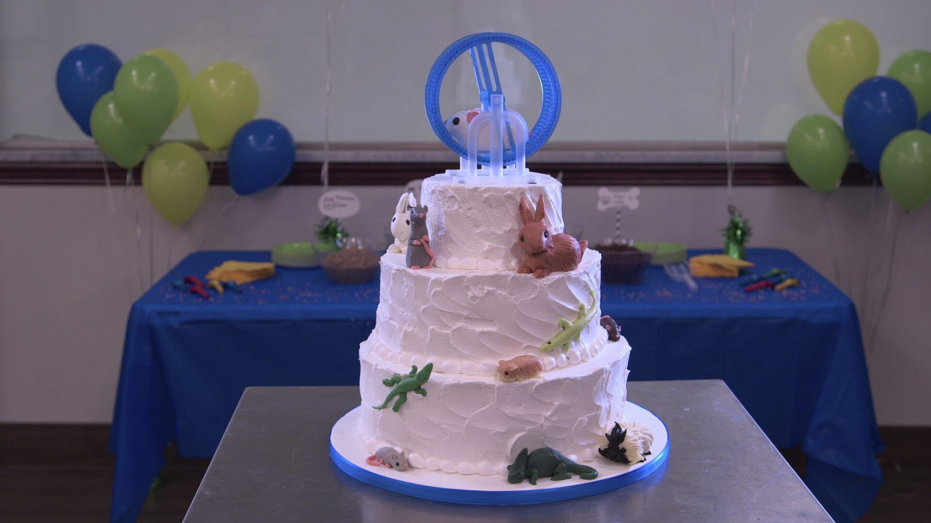 Cake Boss: Buddys Tortenwelt