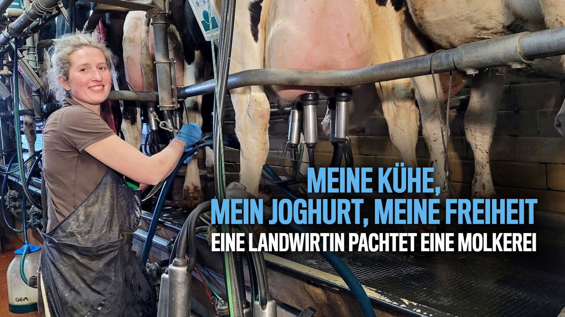 Meine Kühe, mein Joghurt, meine Freiheit