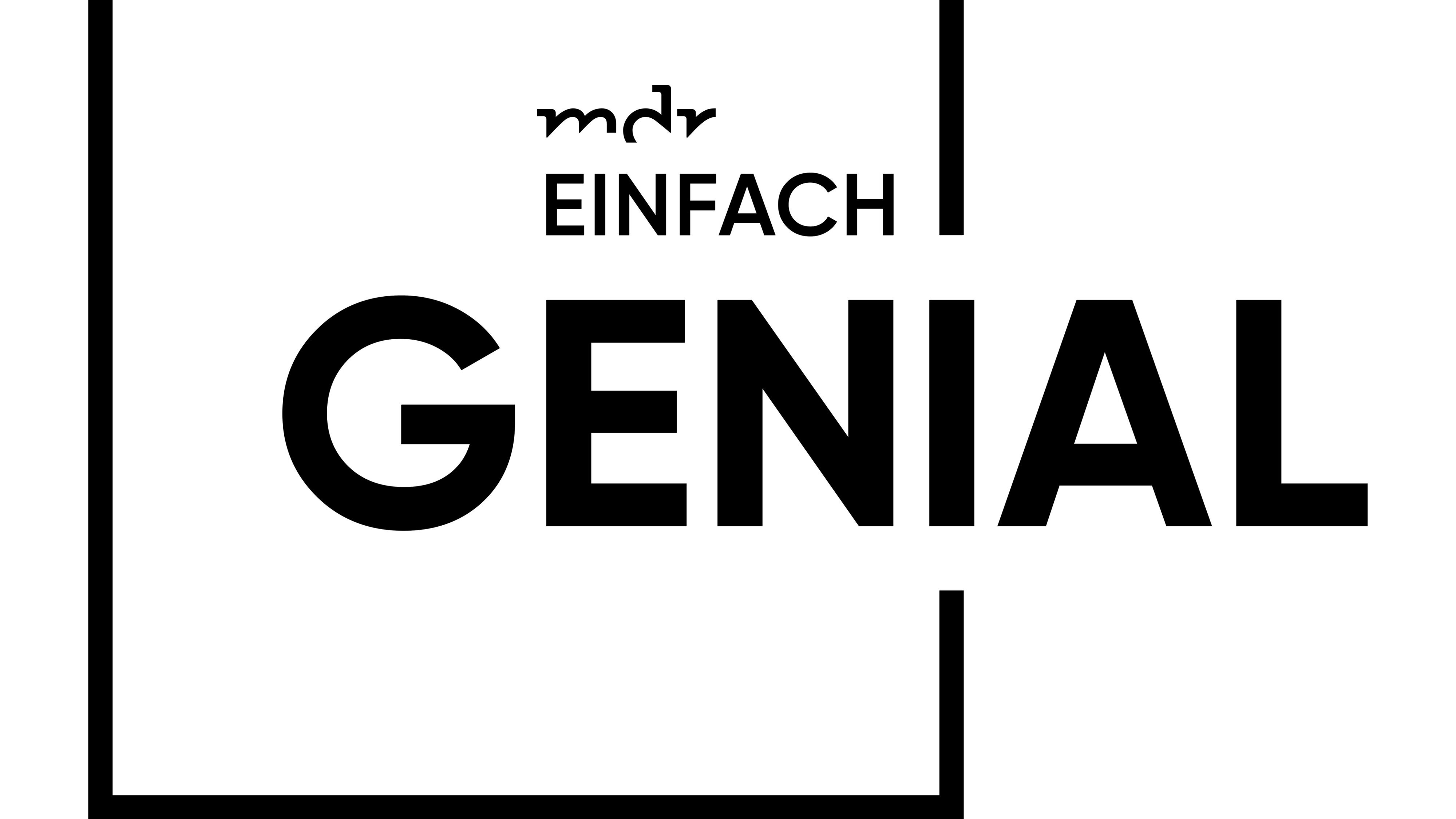 Einfach genial