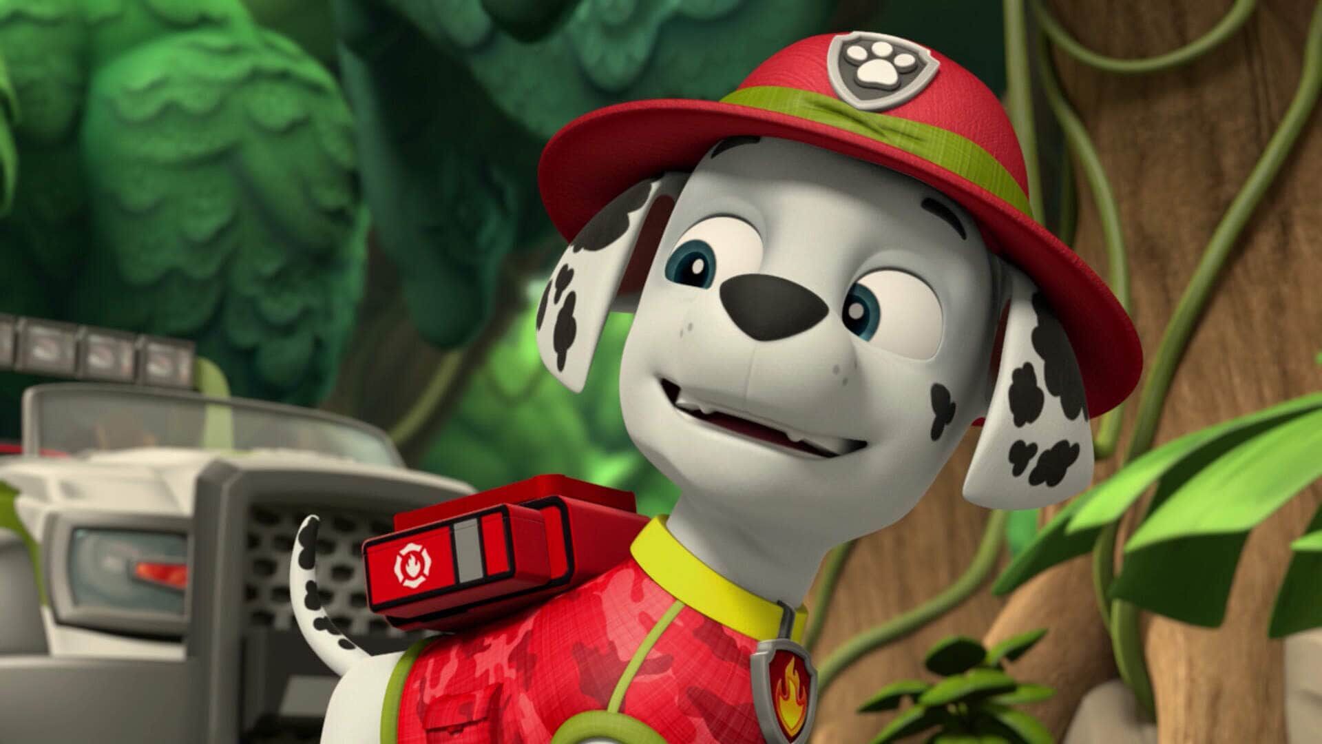 PAW Patrol – Helfer auf vier Pfoten