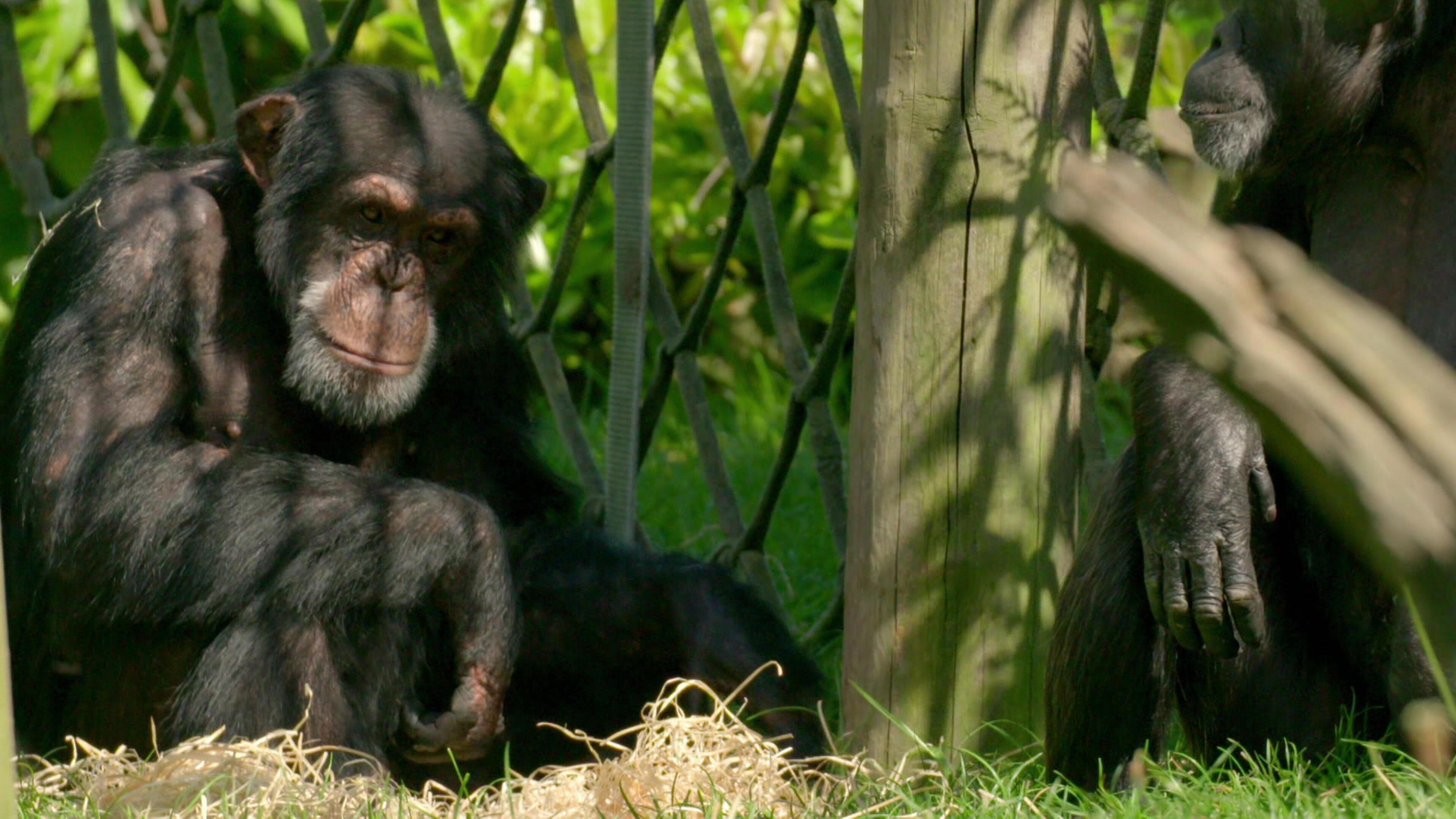Zoo und so – Tierisch wild!