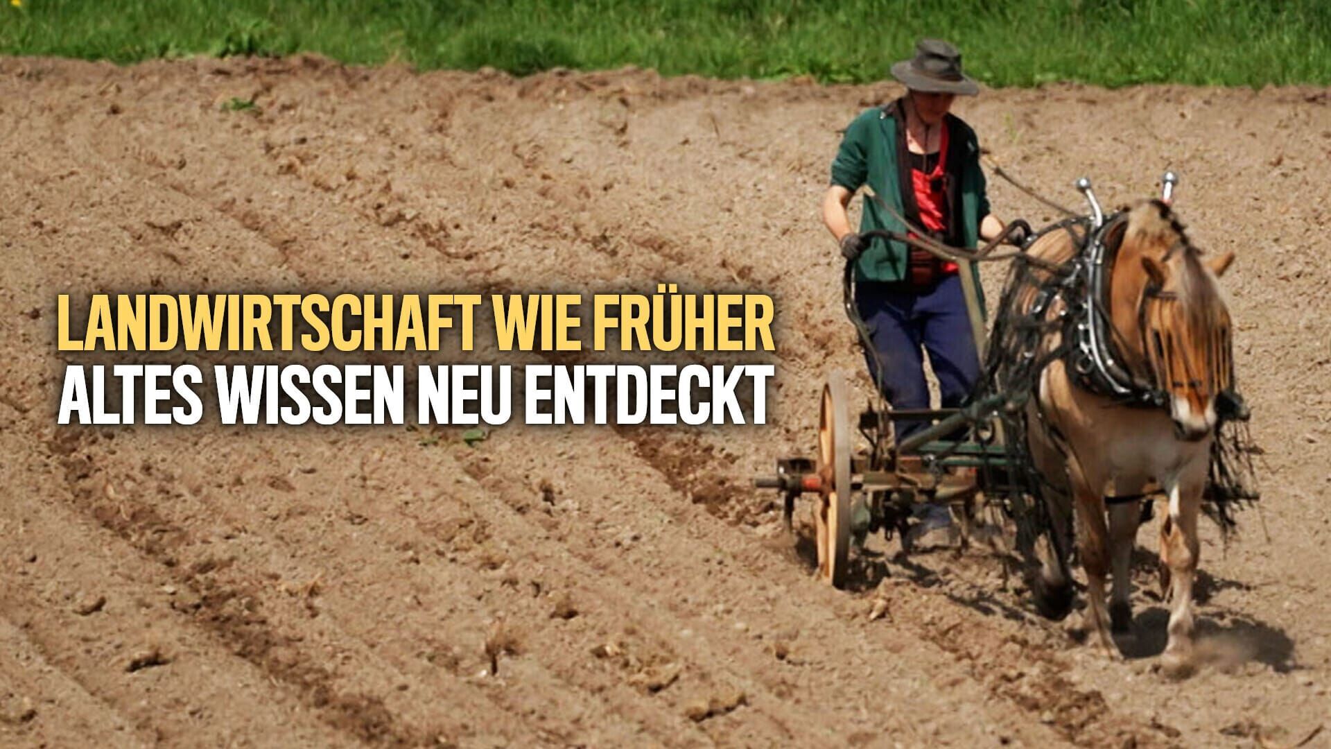 Landwirtschaft wie früher