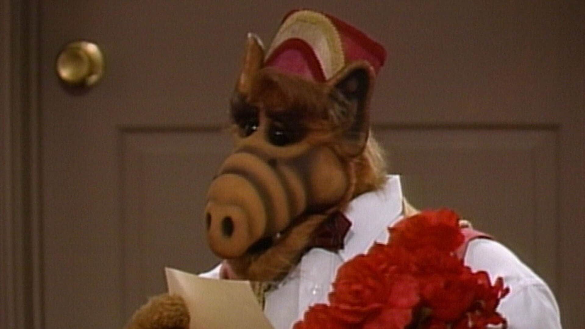 Alf