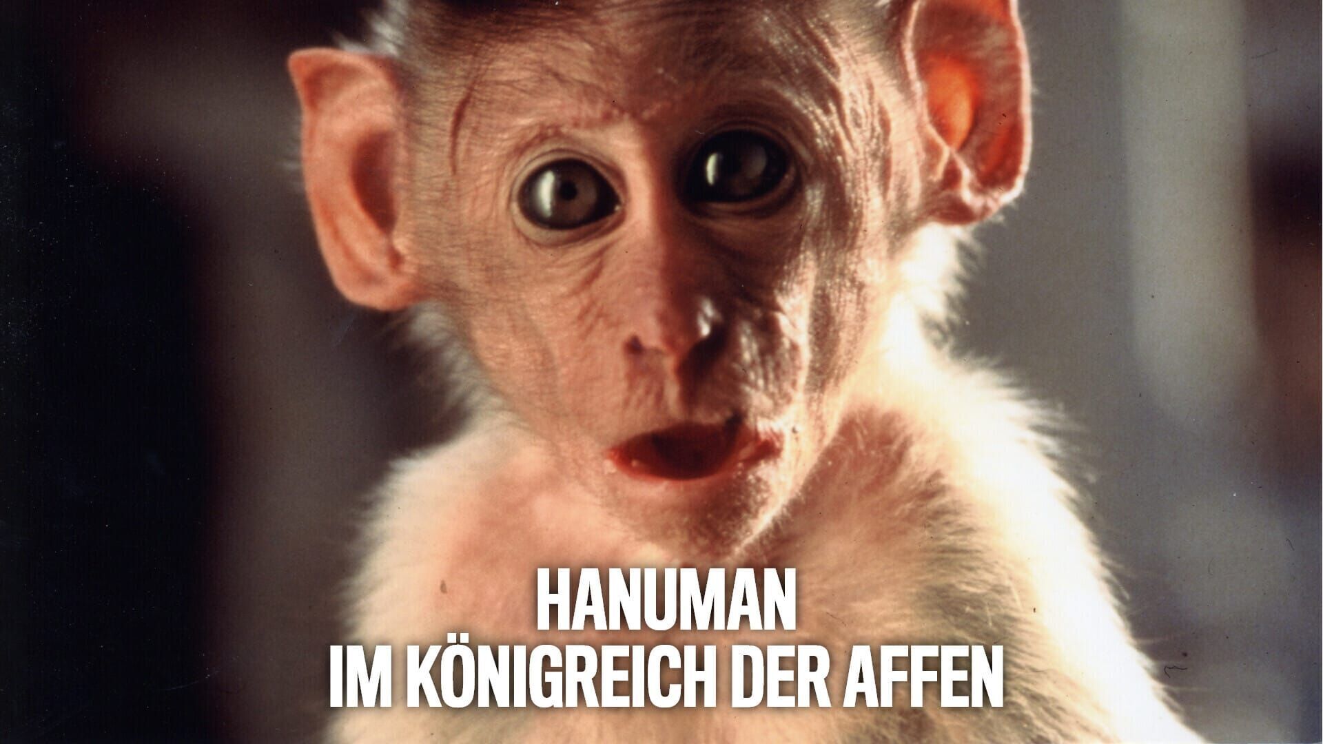 Hanuman – Im Königreich der Affen