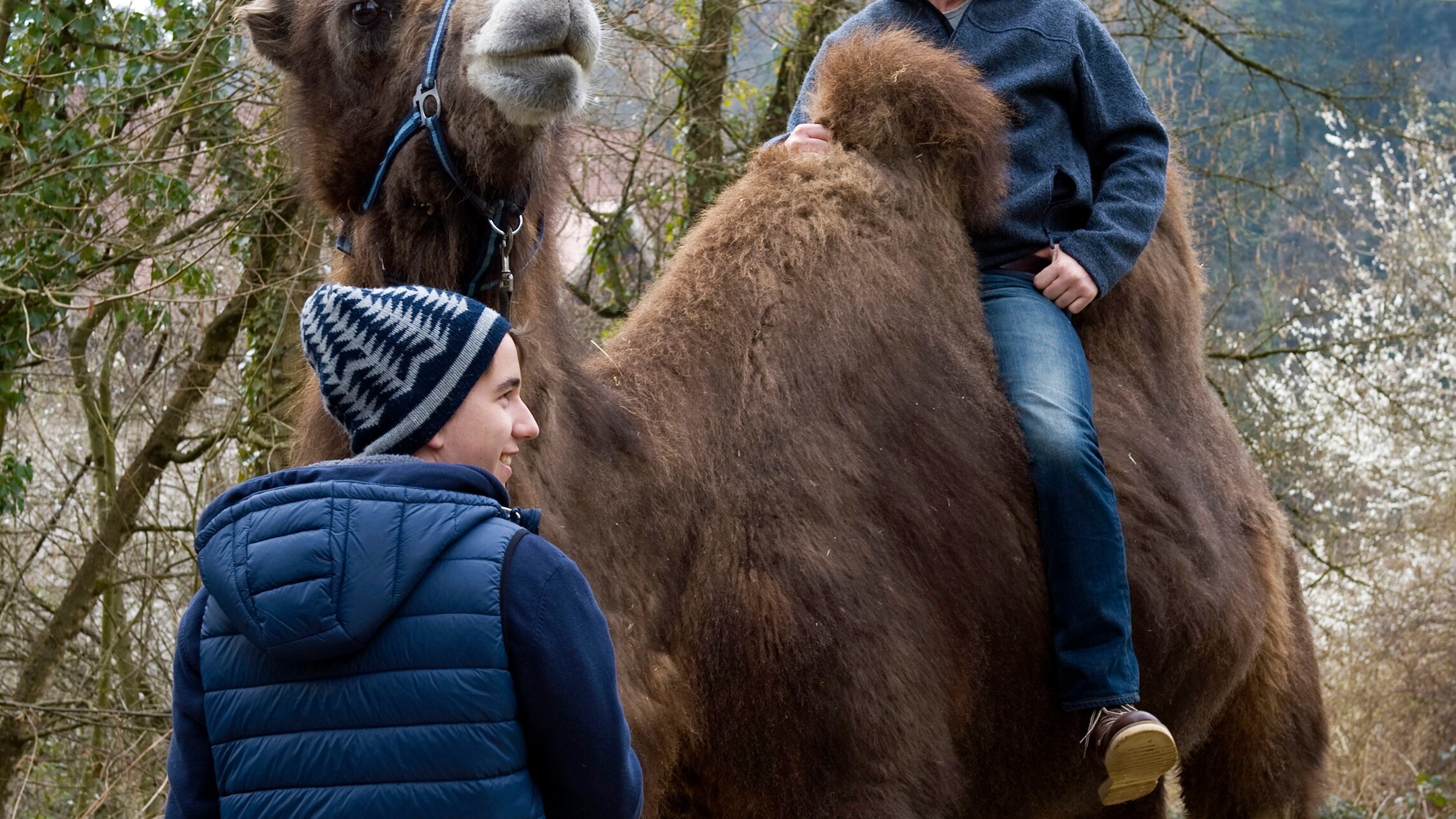 Tiere bis unters Dach