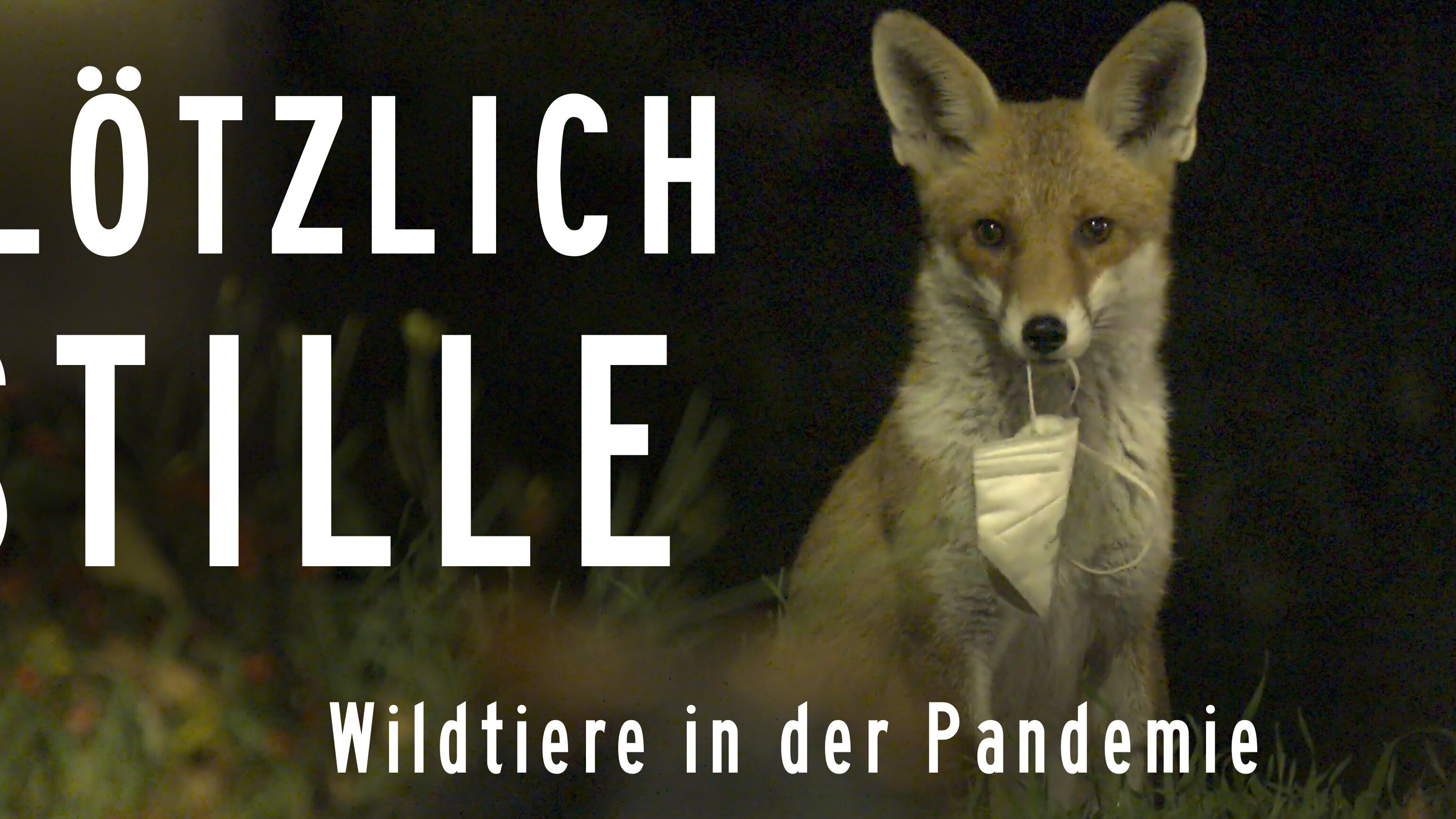 Plötzlich Stille – Wildtiere in der Pandemie