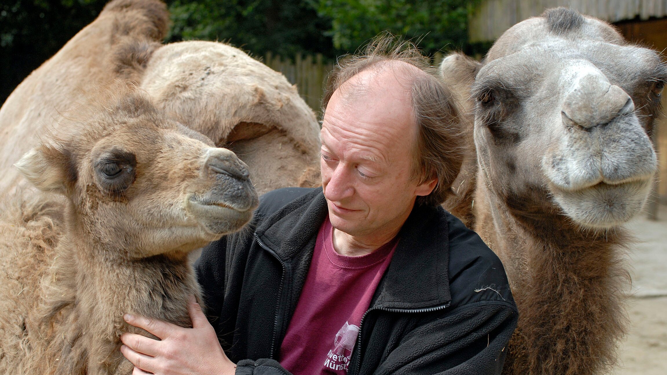 Pinguin, Löwe & Co.