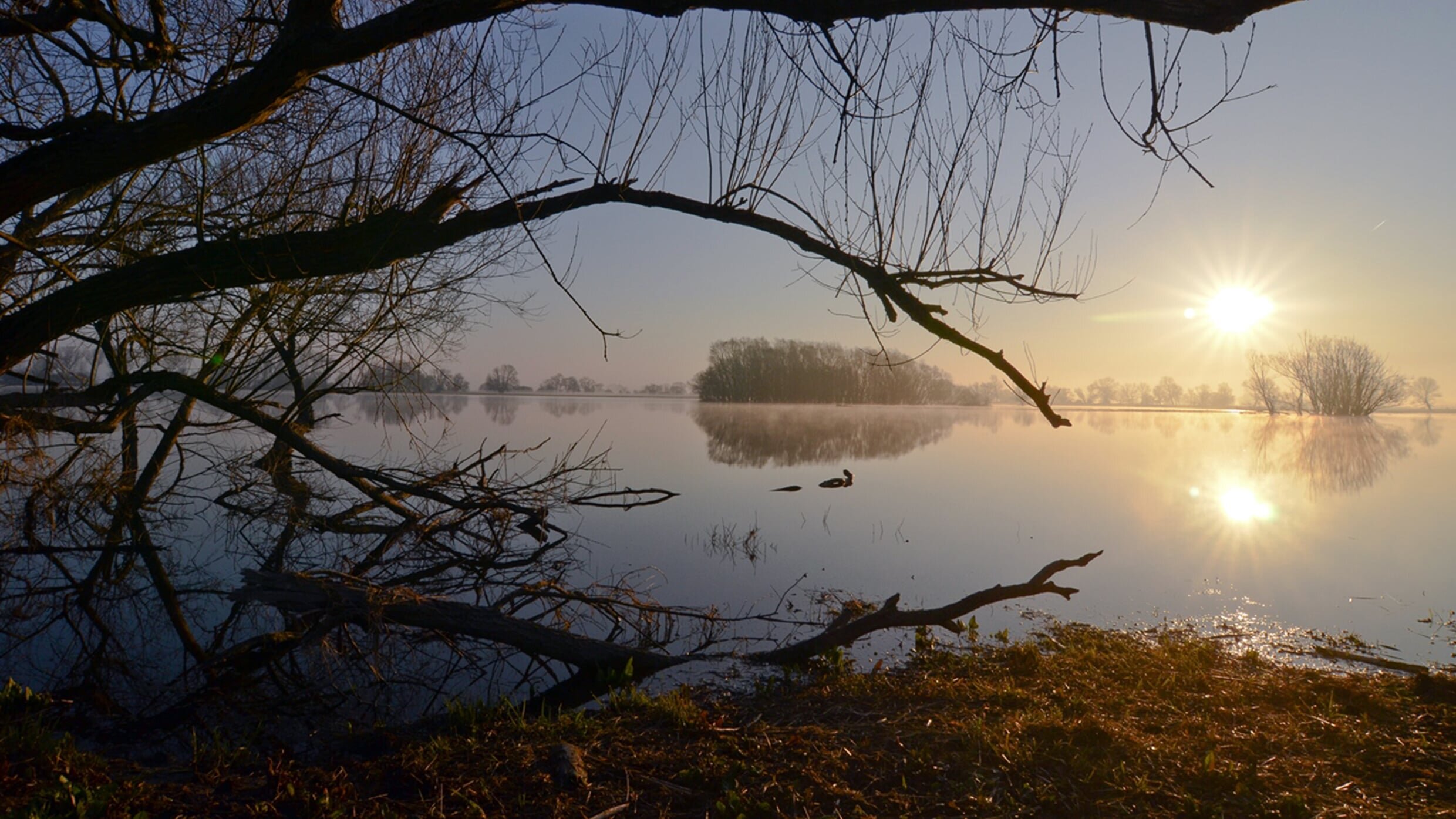 Die Elbe