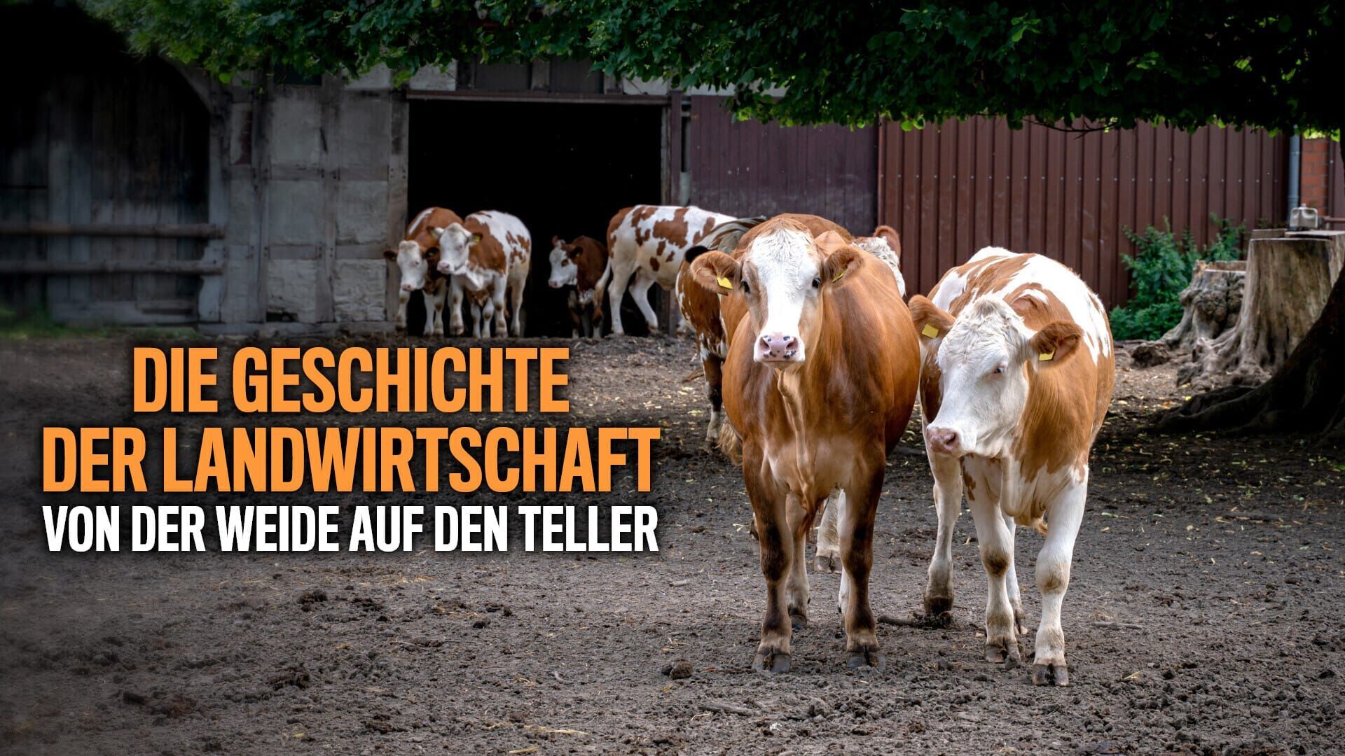 Die Geschichte der Landwirtschaft