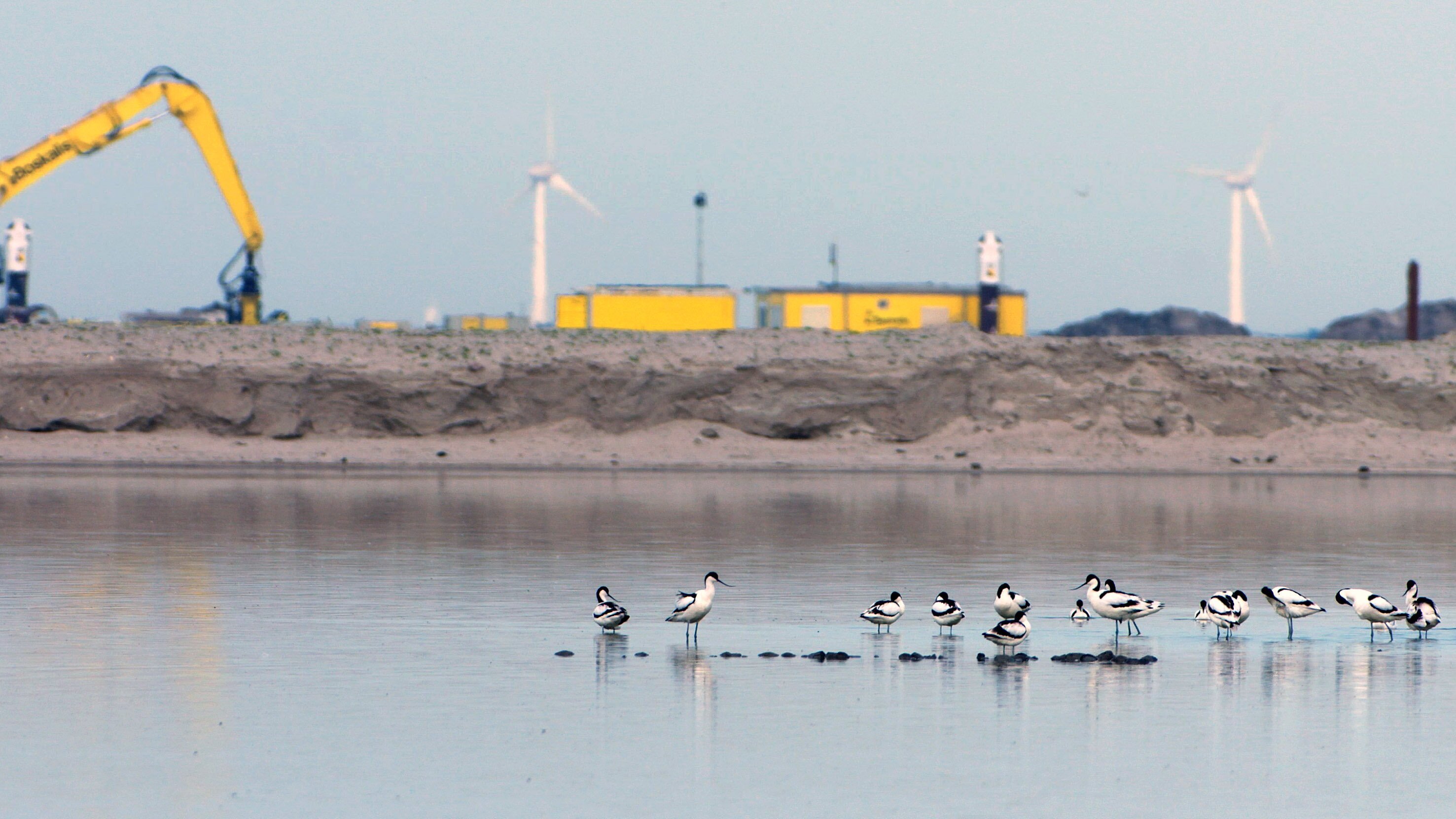 Niederlande: Neue Naturinseln im Markermeer