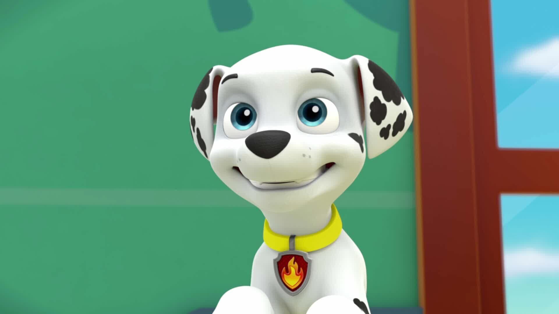 PAW Patrol – Helfer auf vier Pfoten