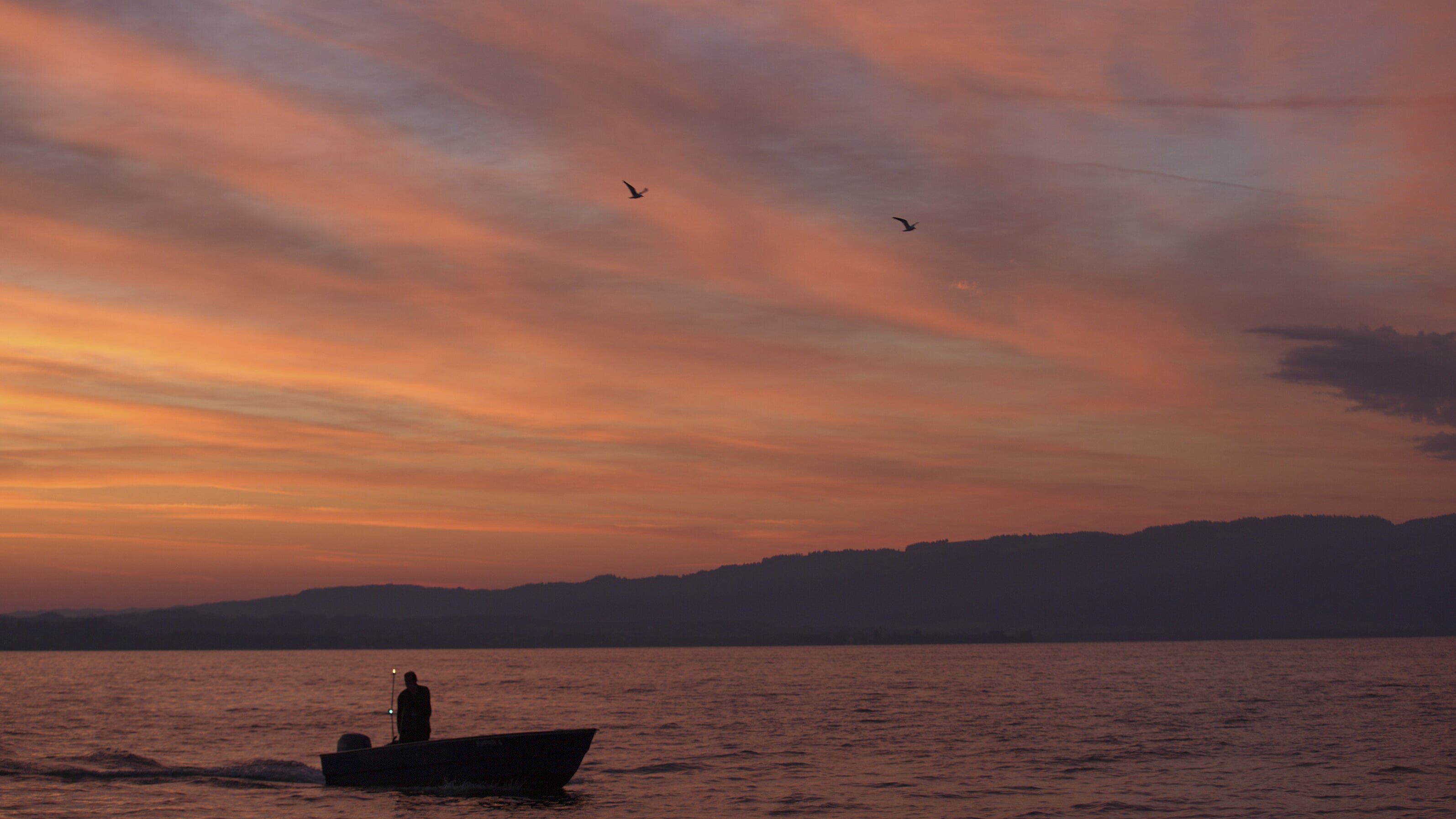 Bodensee – Wildnis am großen Wasser