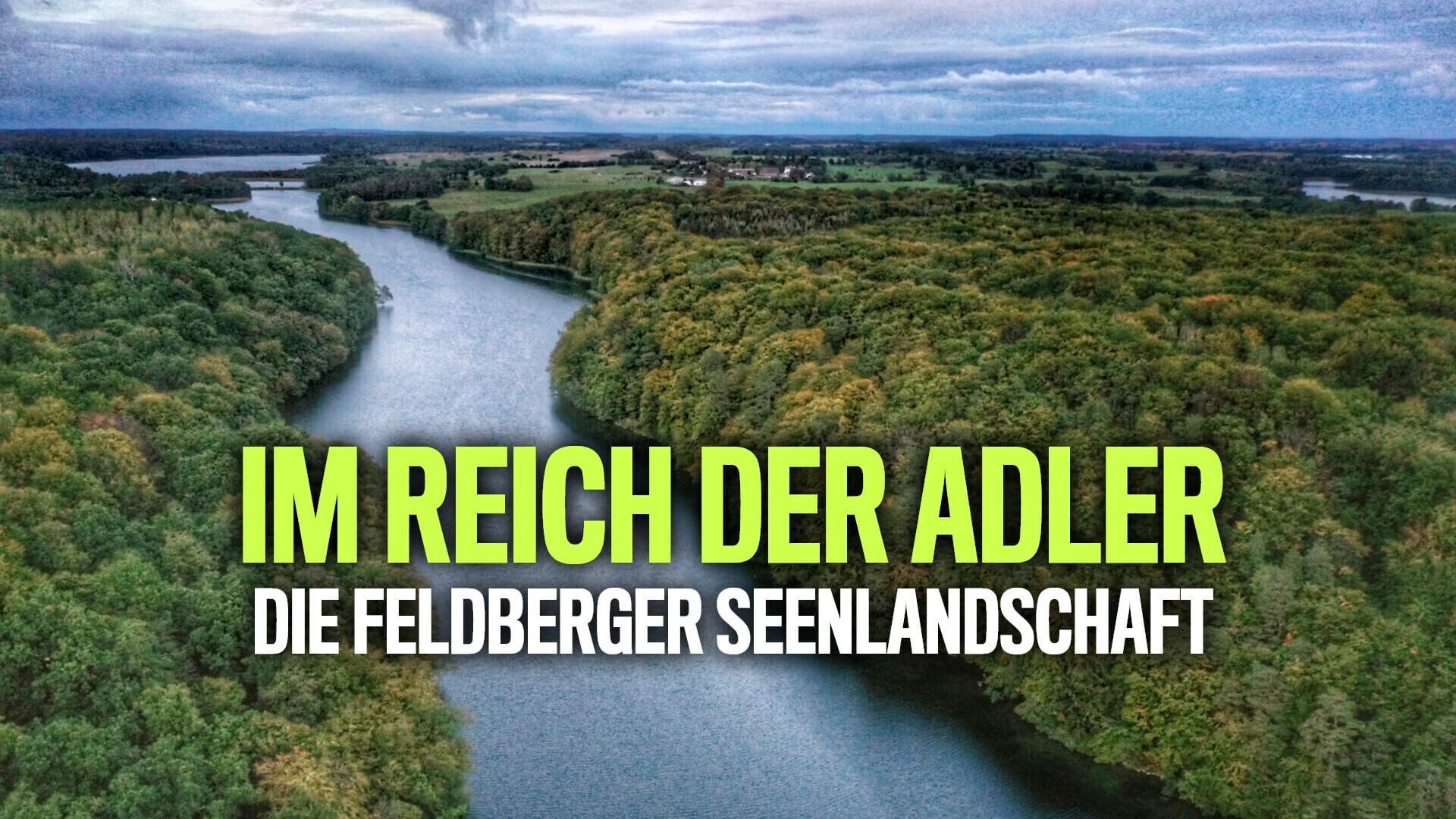 Hanseblick kompakt: Im Reich der Adler