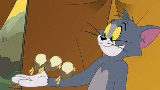 Die Tom und Jerry Show