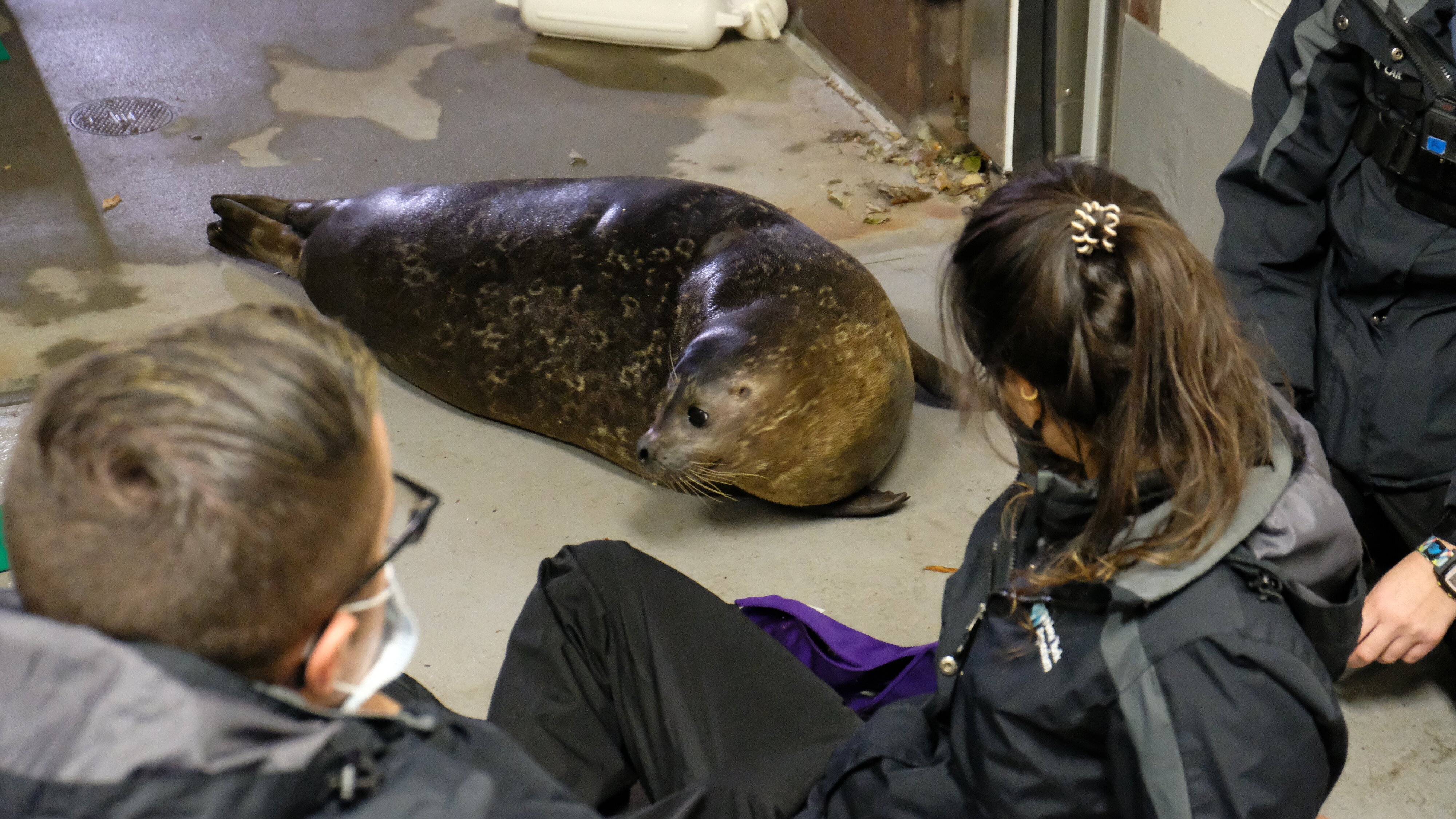 Bronx Zoo – Tierpark der Superlative