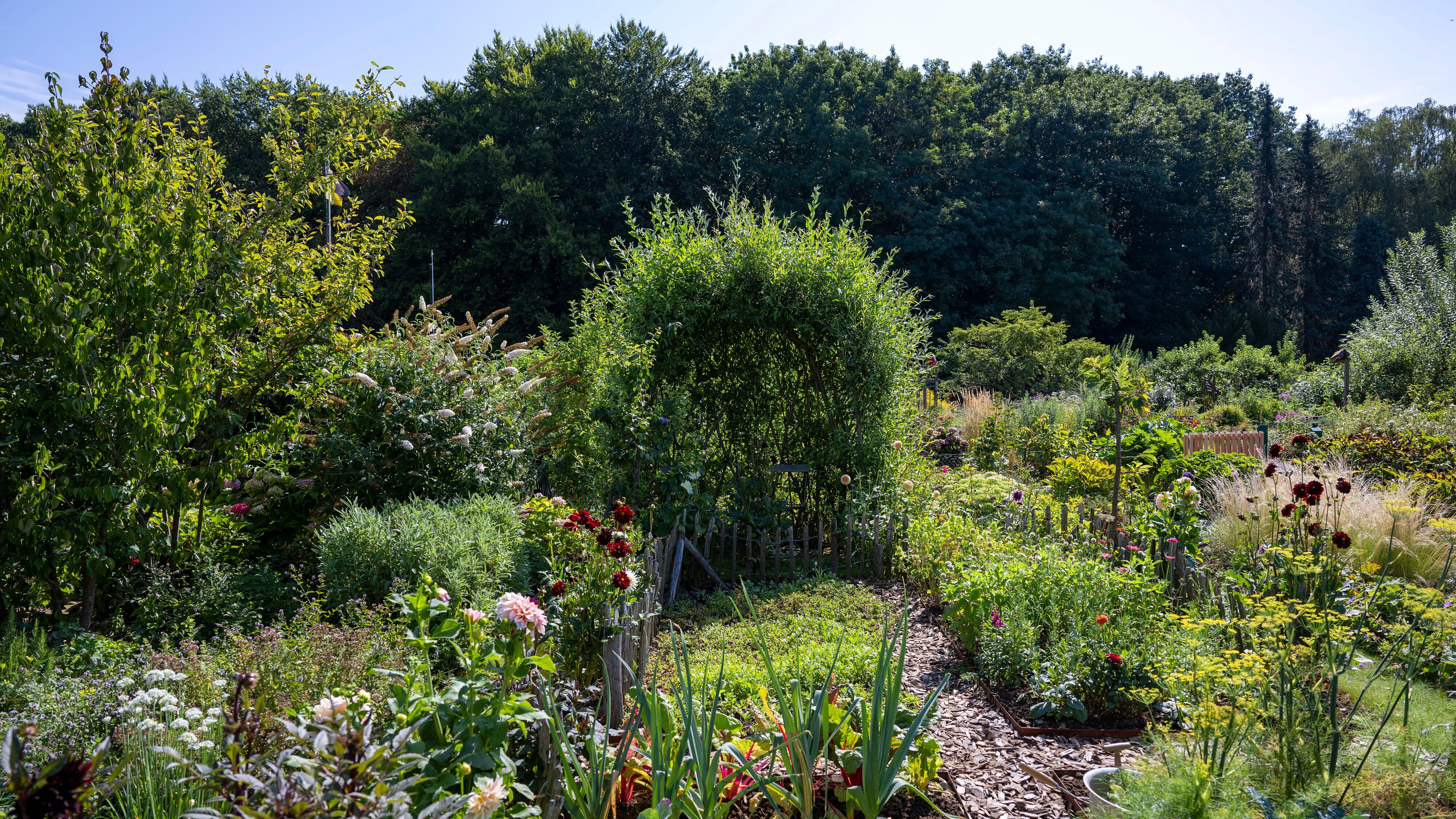 Garten & Lecker