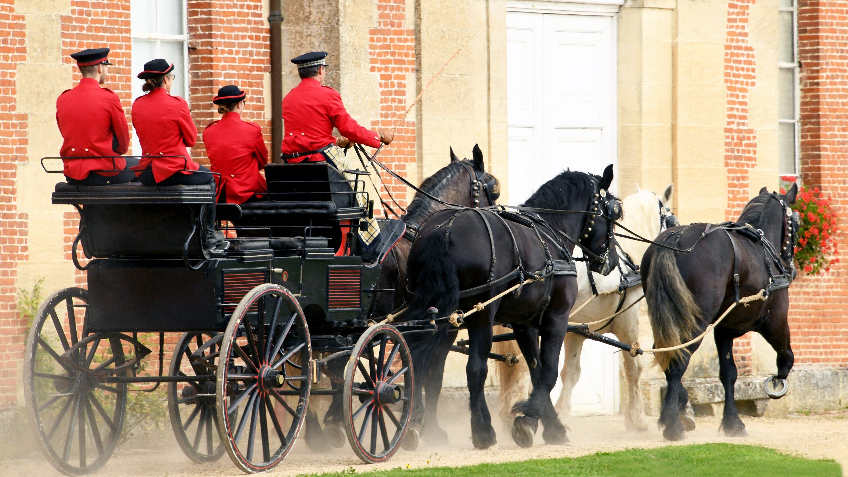 Percheron, das Kraftpaket mit einer Pferdestärke