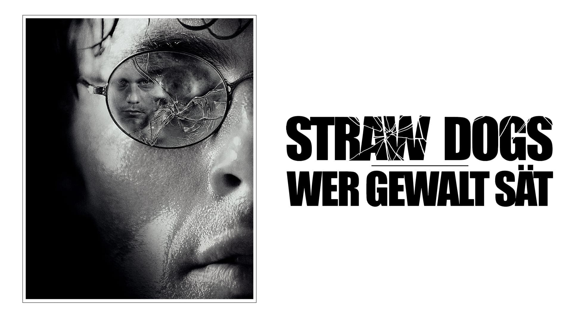 Straw Dogs – Wer Gewalt sät