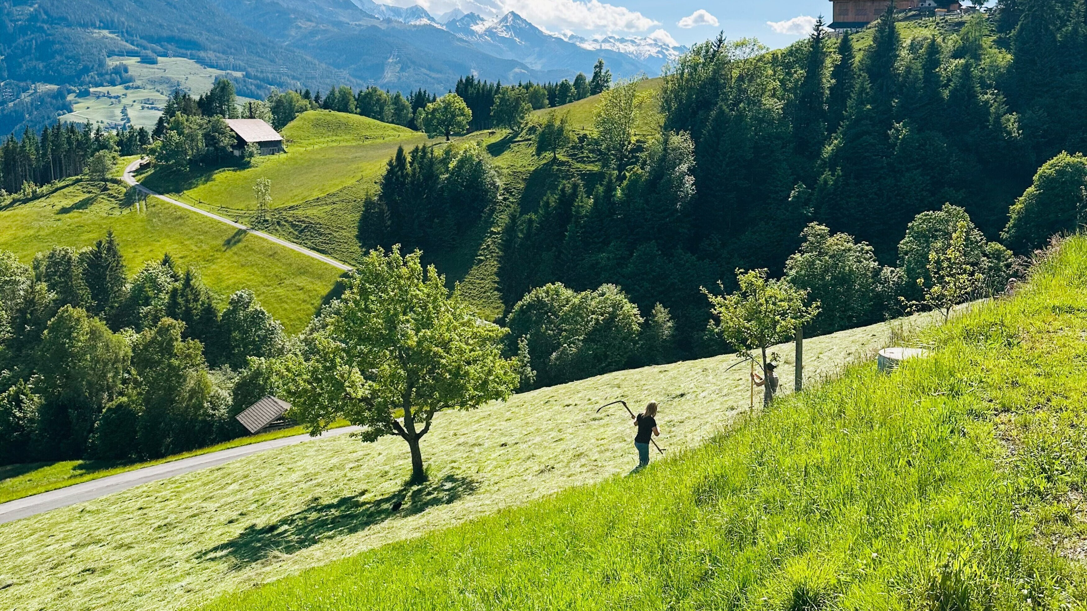 G'sunder Sommer in Österreich