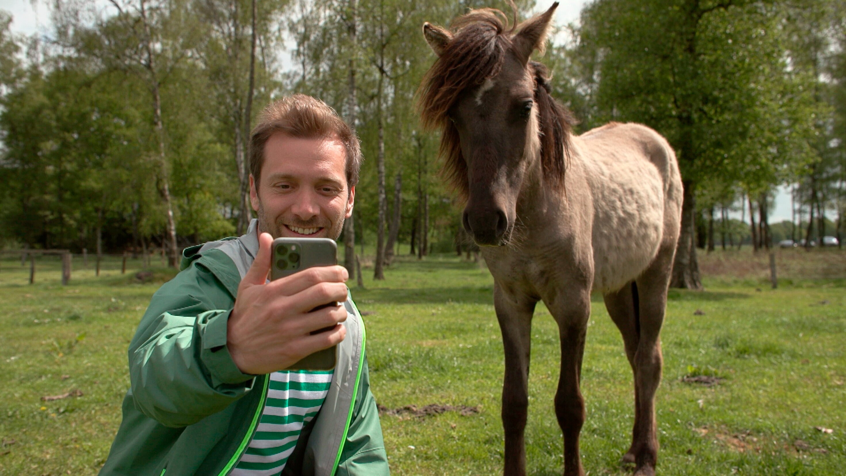 Das Beste im Westen – Daniel Aßmanns Sommer-Highlights