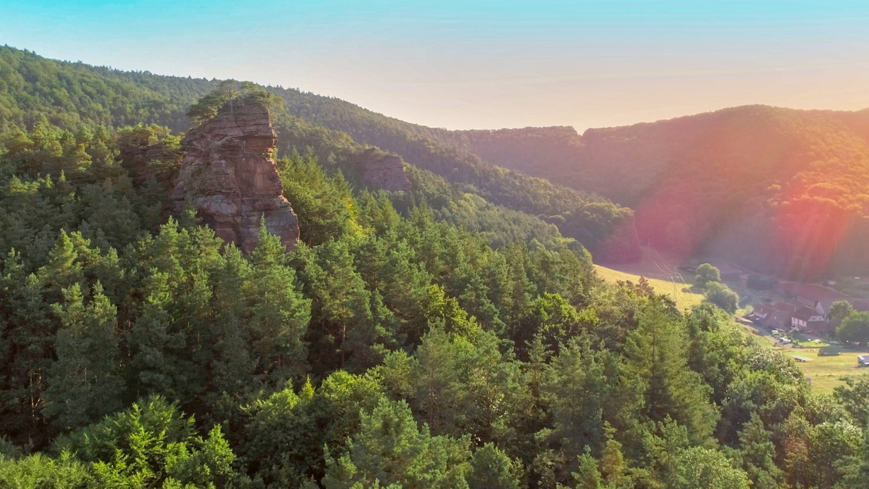 Der Pfälzerwald rund ums Jahr