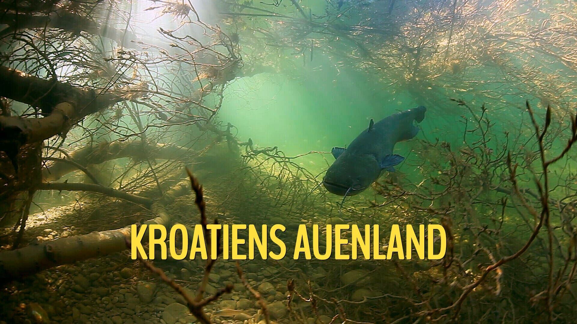 Kroatiens Auenland