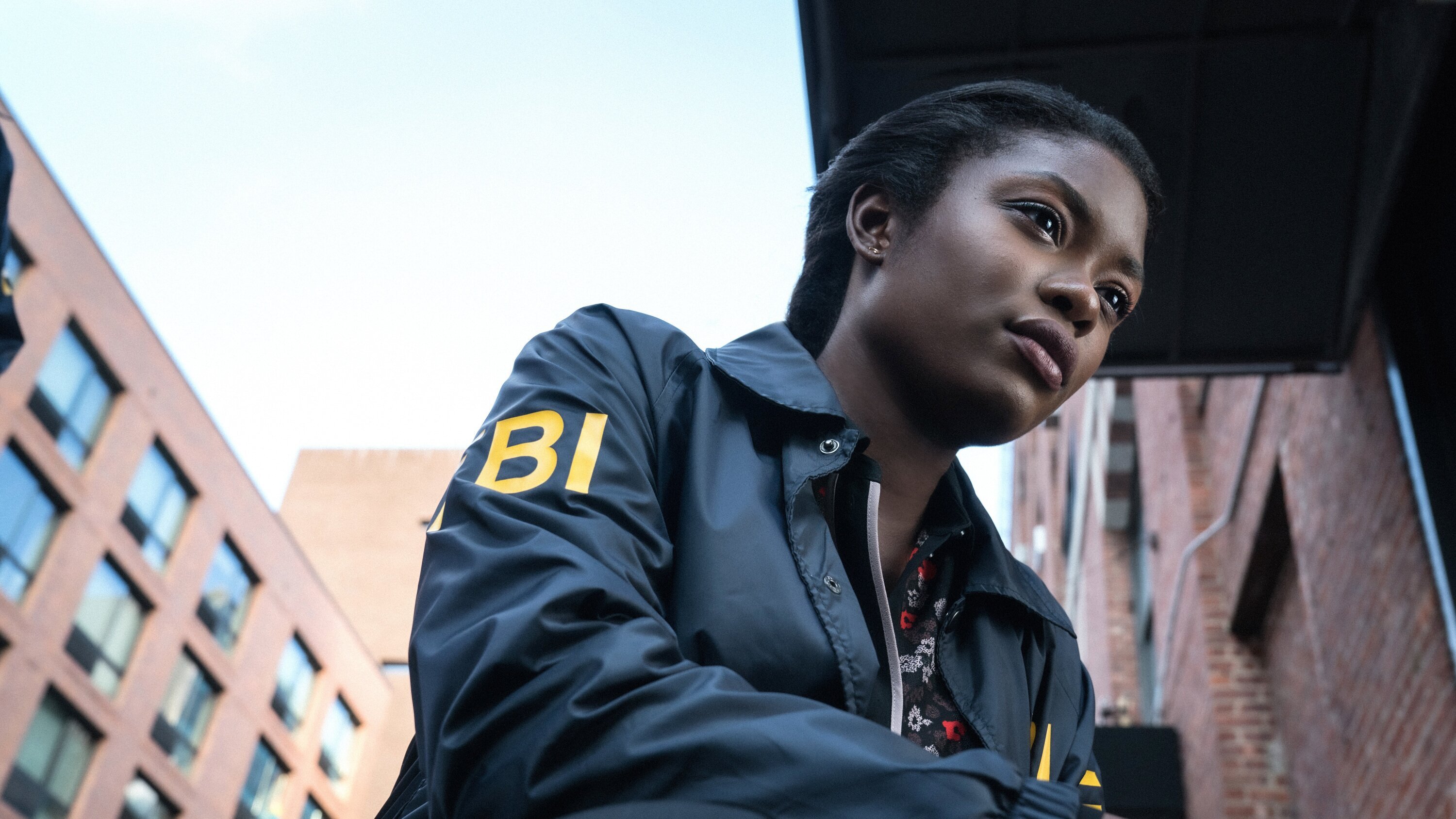 FBI: Special Crime Unit