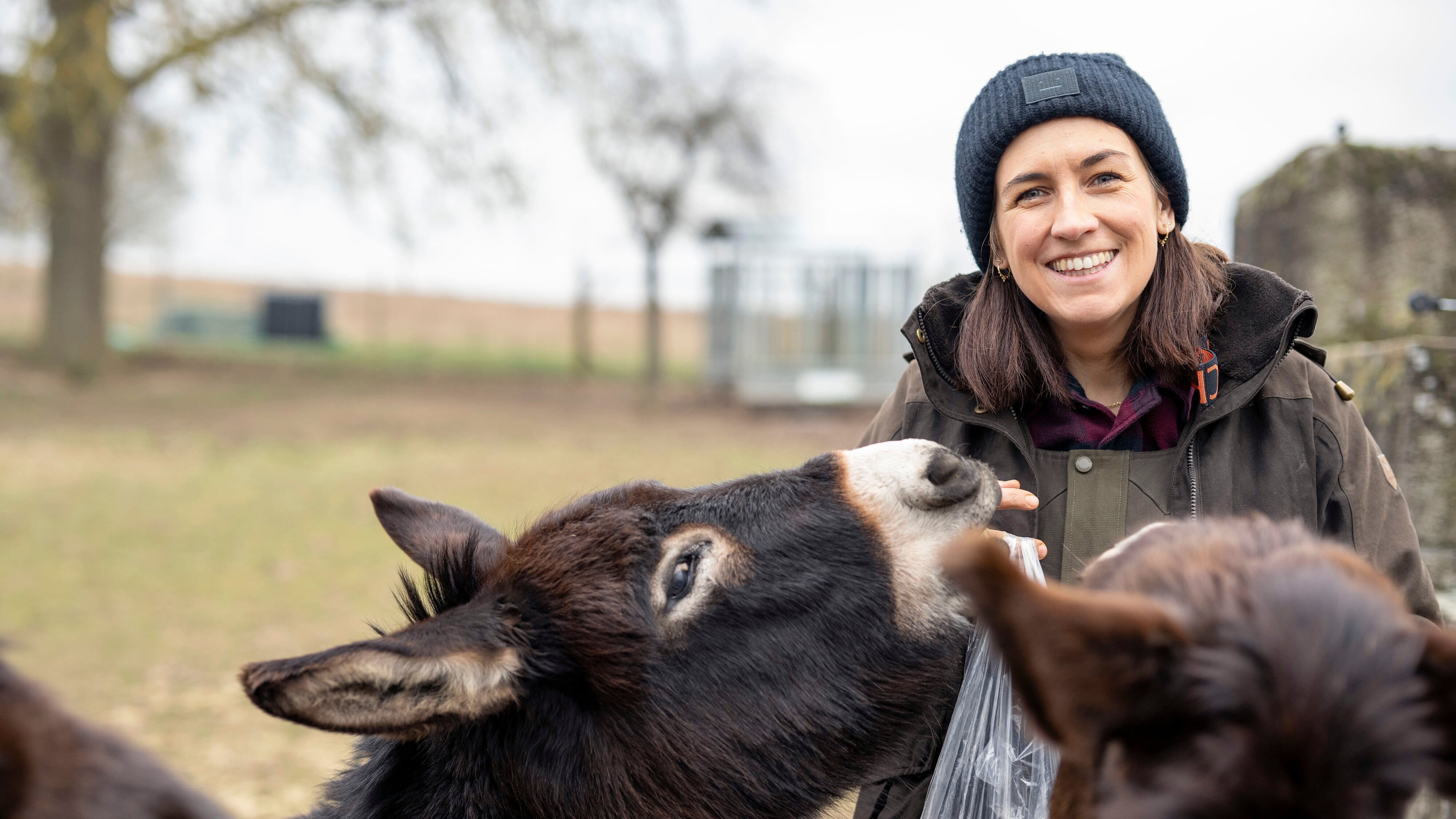 Land & lecker im Advent