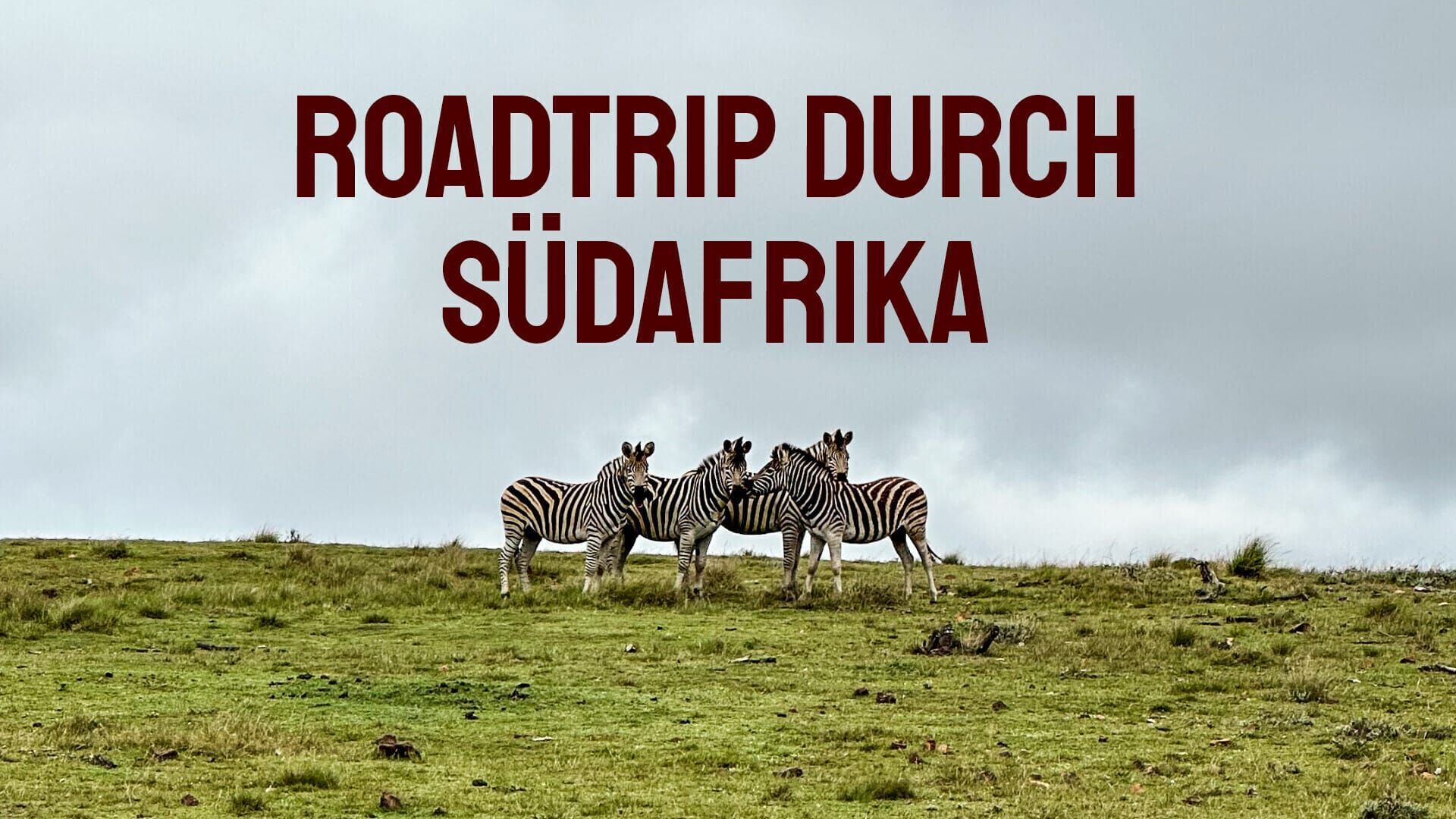 Roadtrip durch Südafrika
