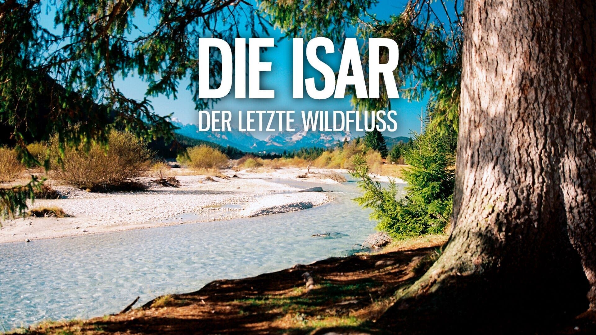 Die Isar – Der letzte Wildfluss